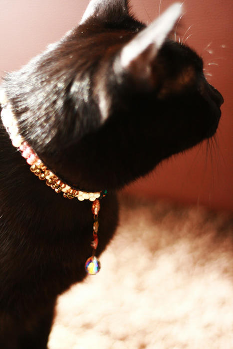 1201_7.jpg