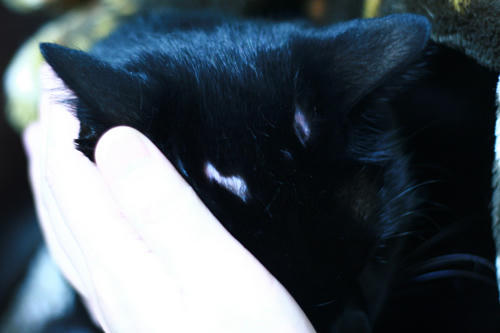 0110_7.jpg