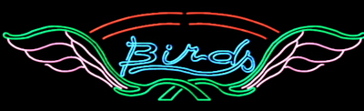 BirdsNeon_rendering3