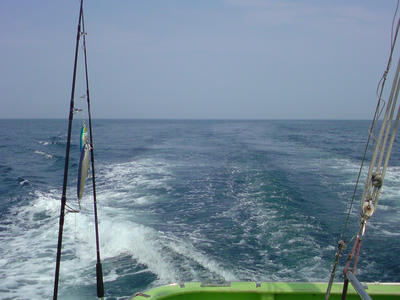 20130727_132345.JPG