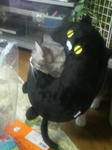 200901040836000.jpg