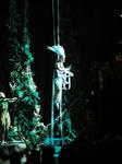 DSC00238.JPG