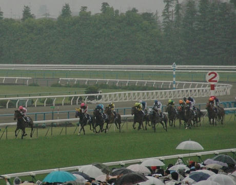 天気は雨