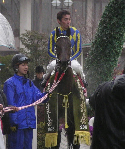 2003年京都記念