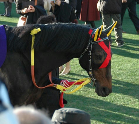 インティライミ＠２００７年有馬記念