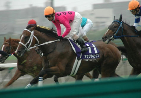 宝塚記念２００８その１