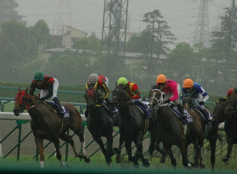 宝塚記念２００８その２