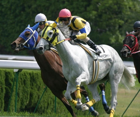 ファビラスキャット号2004年4月25日