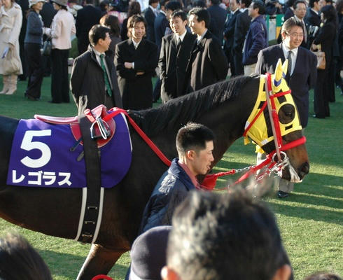 レゴラス2007年有馬記念