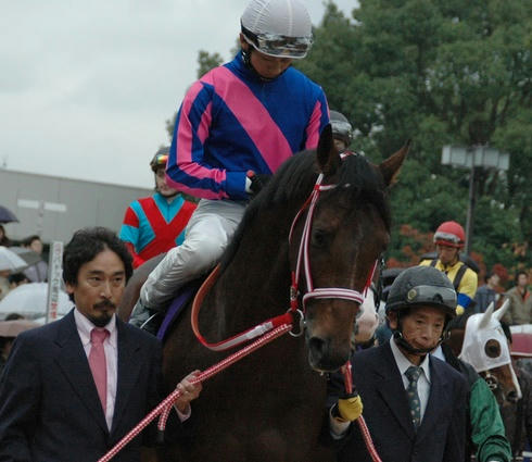 スーパーホーネット＠2006年マイルＣＳ