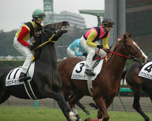 2007年12月23日の新馬戦