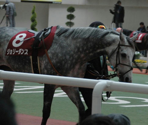 ジョリーダンス＠阪神カップ'０８