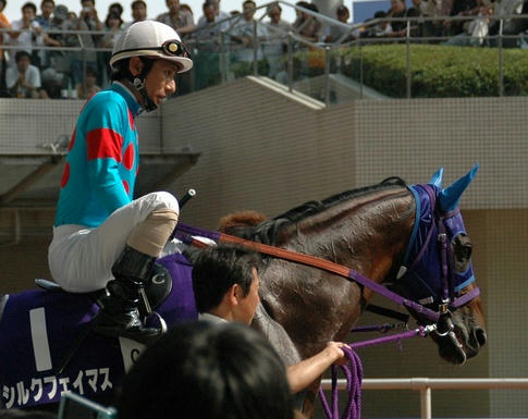 シルクフェイマス＠２００５年宝塚記念