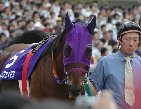 シルクフェイマス＠２００９年天皇賞（春）