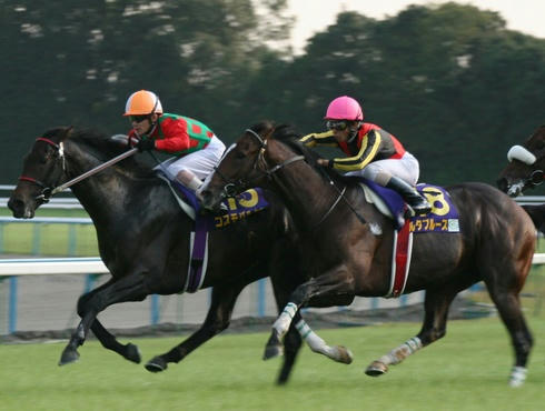2004年菊花賞のデルタブルース