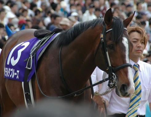 2009年天皇賞・春のデルタブルース