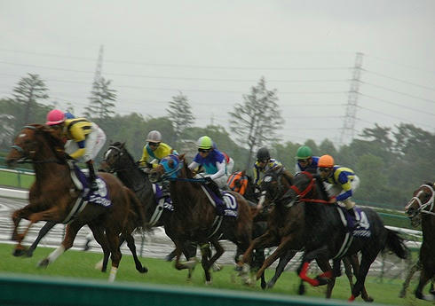 2007年宝塚記念