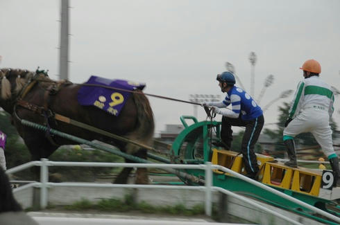 レースの様子です