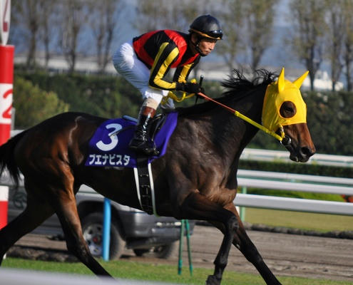 ブエナビスタ秋華賞返し馬