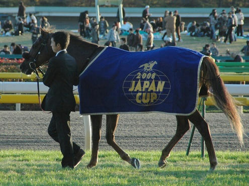 2008年ジャパンカップのスクリーンヒーロー