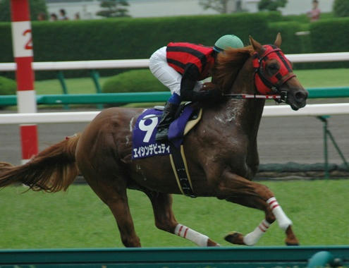2008年宝塚記念のエイシンデピュティ