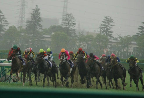 2008年宝塚記念