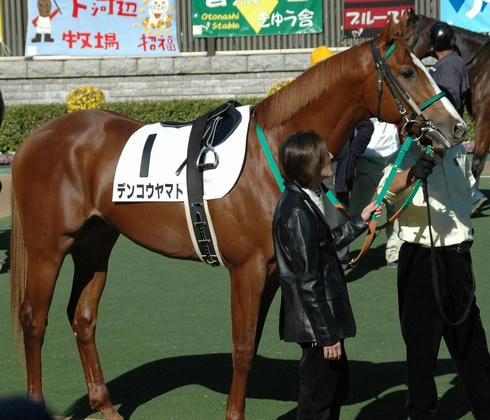 デンコウヤマト