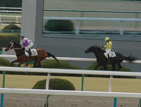 天神乗りする白浜騎手