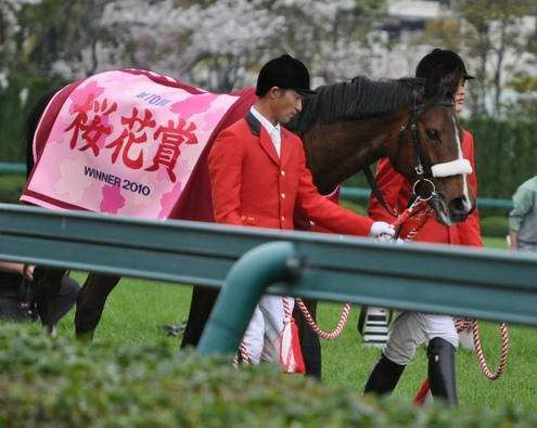 桜花賞馬アパパネ