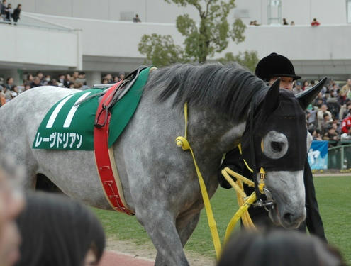 レーヴドリアン