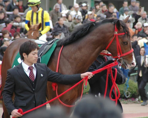 シャイン