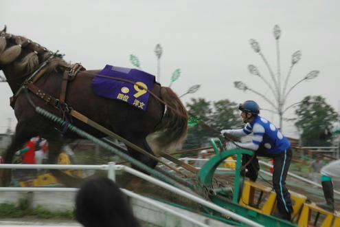 去年のばんえい競馬