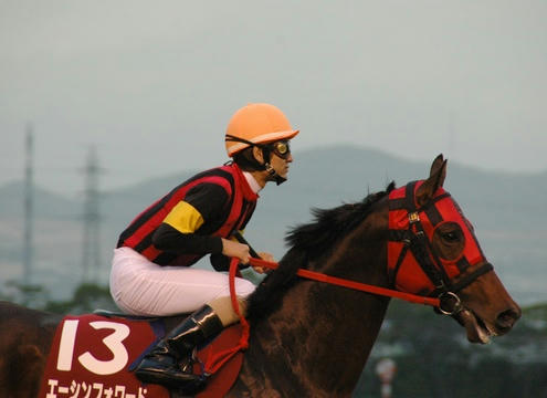 エーシンフォワード＠阪神カップ２００８