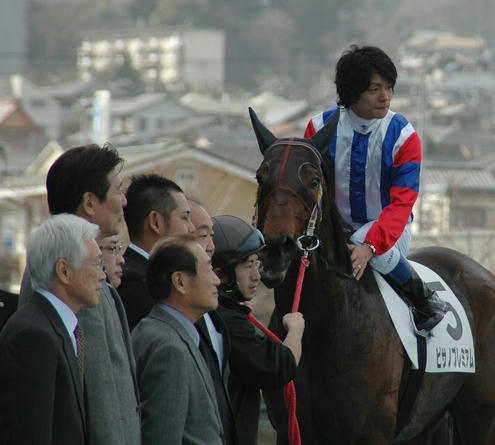 ８Ｒピサノプレミアム