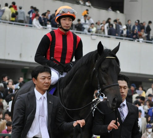 5月1日天皇賞パドック