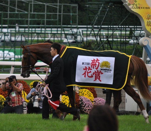 三冠馬オルフェーヴル号