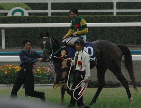 2005年天皇賞（春）