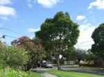 DSCF5463.jpg