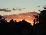 DSCF5523.JPG
