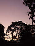 DSCF5539.JPG