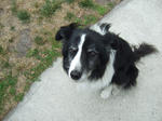 DSCF5516.JPG