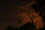 IMG_6153.jpg