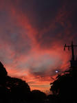 DSCF5637.jpg