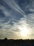 DSCF5619.jpg