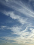 DSCF5620.jpg