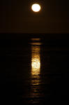 IMG_3257.jpg