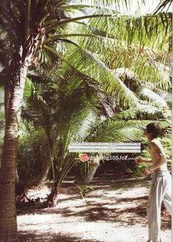 coconutjpg