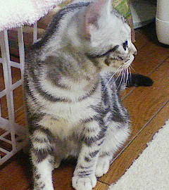 200810312035000.jpg