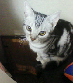 200811151917000.jpg