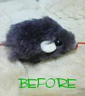 before.JPG